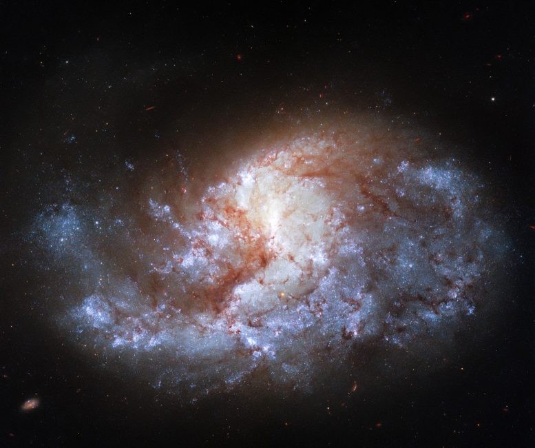 棒旋星系NGC1385圖像2