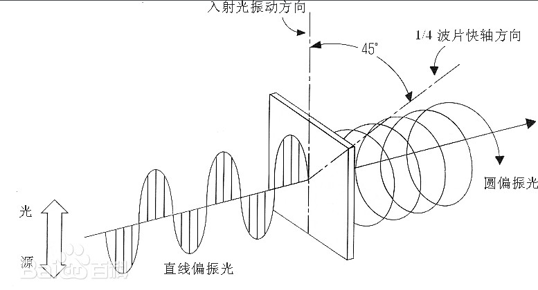 圓偏振和線偏振的區別