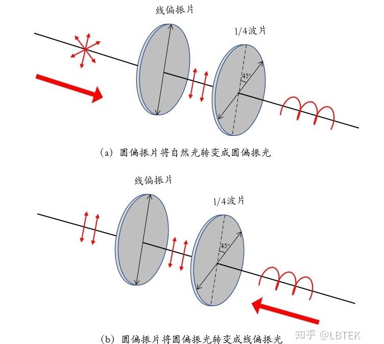 偏振光的轉化