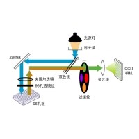 什么是熒光定量PCR、數(shù)字PCR？