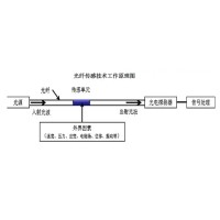 光纖傳感技術(shù)：崔洪亮和他的“中國夢”